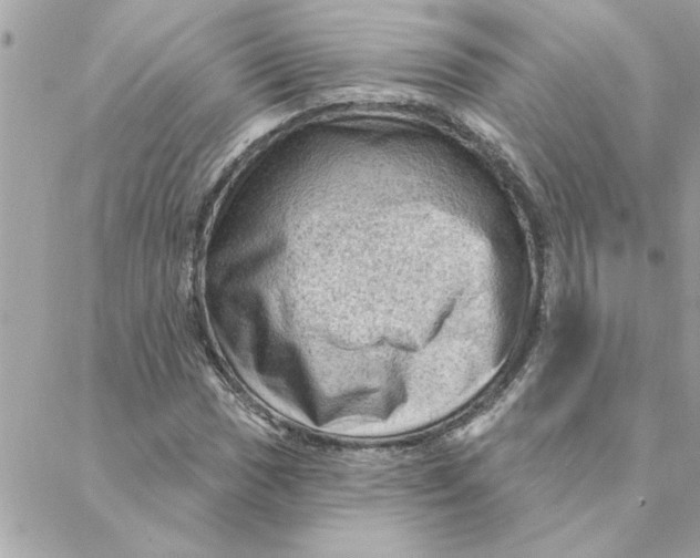 X0000088161017200706051046