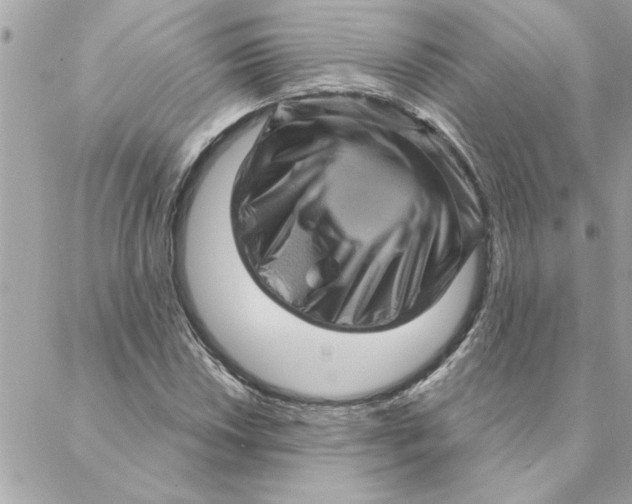 X0000088161018200706051046