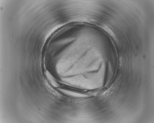 X0000088161020200706051046