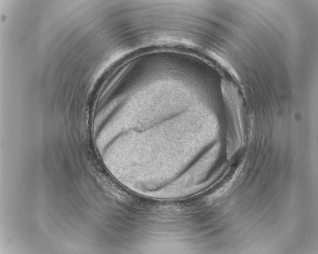 X0000088161021200706051046