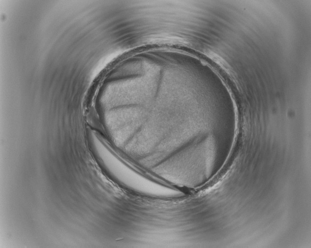 X0000088161022200706051046