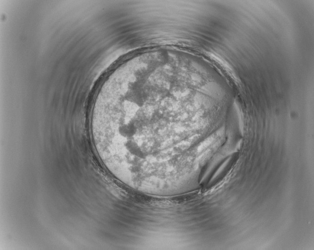 X0000088161023200706051046