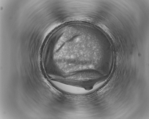 X0000088161024200706051046