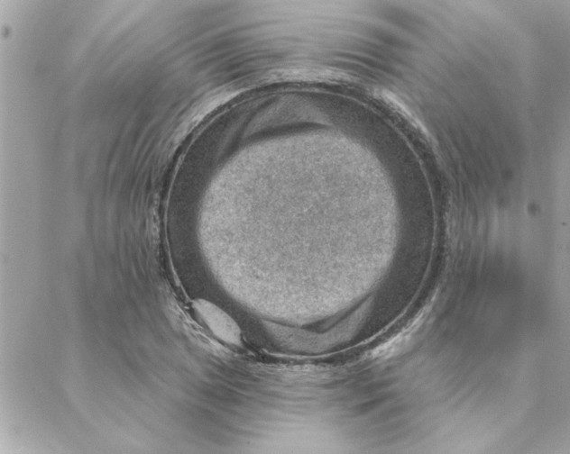 X0000088161025200706051046