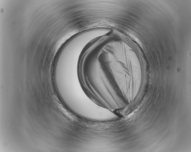 X0000088161026200706051046