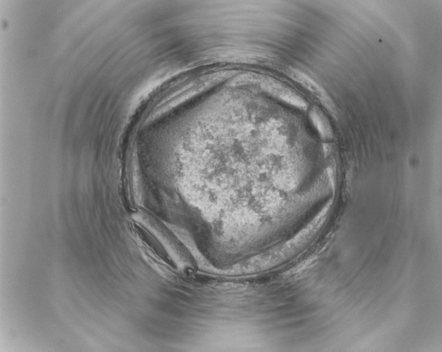 X0000088161027200706051046