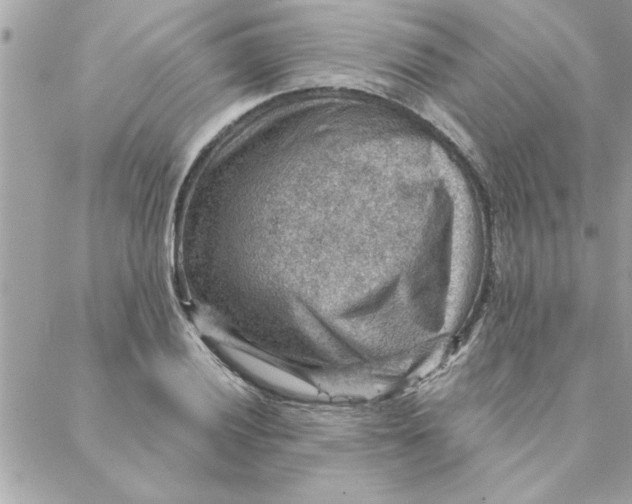 X0000088161028200706051046