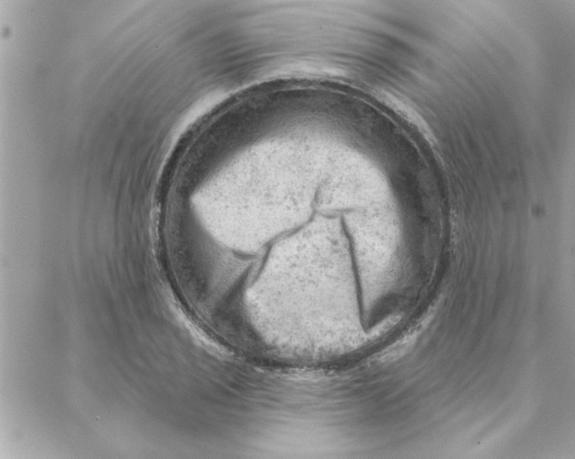 X0000088161029200706051046