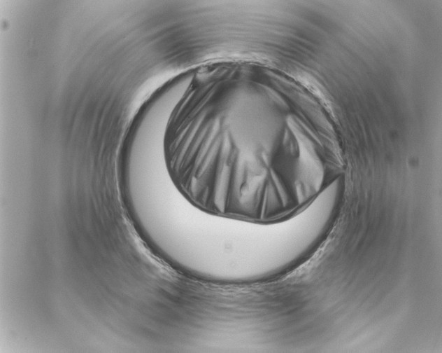 X0000088161030200706051046