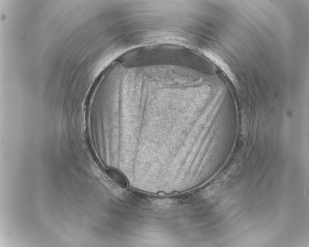 X0000088161031200706051046