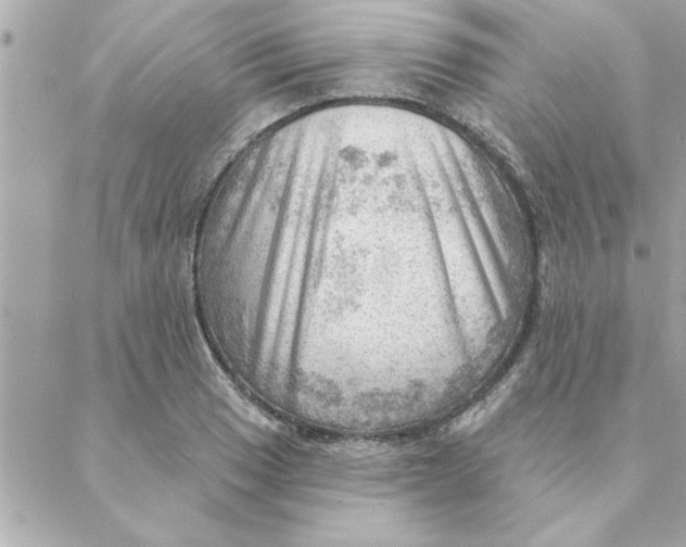 X0000088161033200706051046