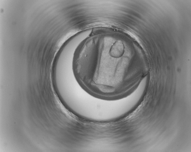 X0000088161034200706051046