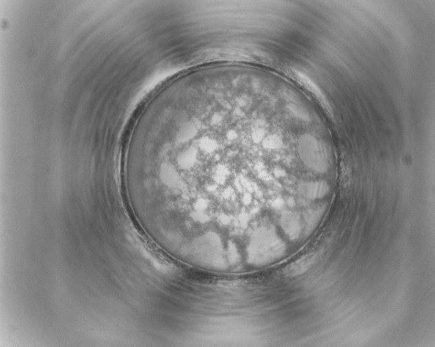 X0000088161035200706051046