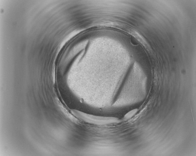 X0000088161036200706051046