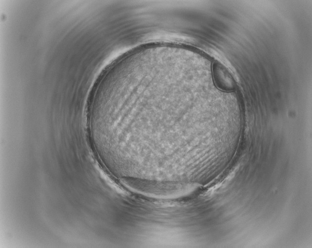 X0000088161037200706051046