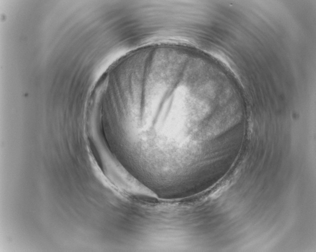 X0000088161038200706051046