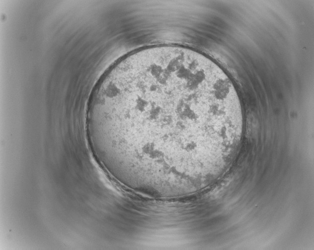 X0000088161039200706051046