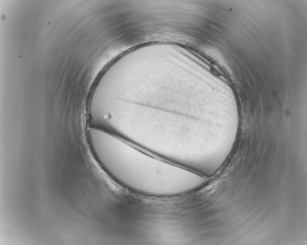 X0000088161040200706051046