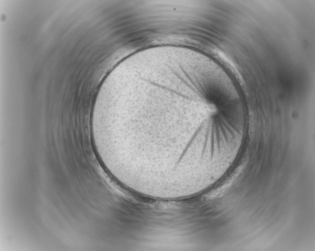 X0000088161041200706051046