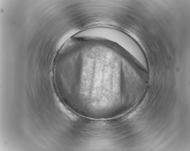 X0000088161042200706051046