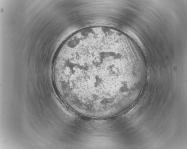 X0000088161043200706051046