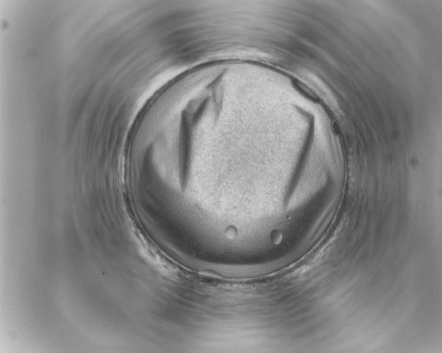 X0000088161044200706051046