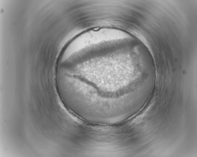 X0000088161045200706051046