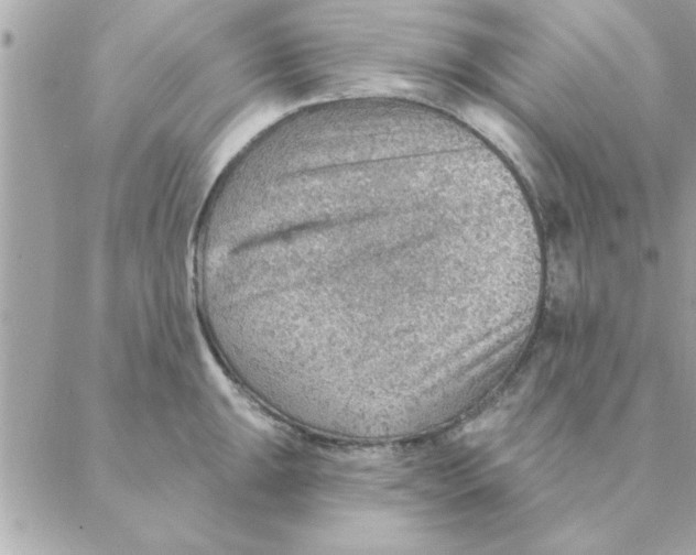 X0000088161047200706051046