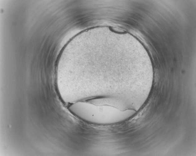 X0000088161048200706051046