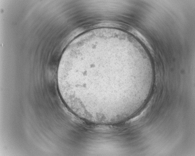 X0000088161049200706051046