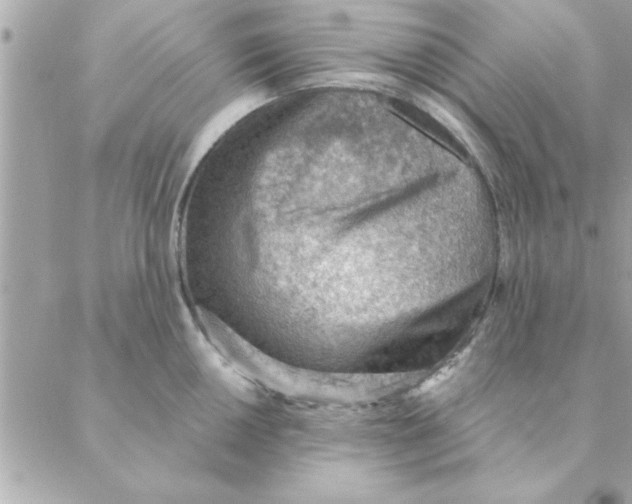 X0000088161050200706051046