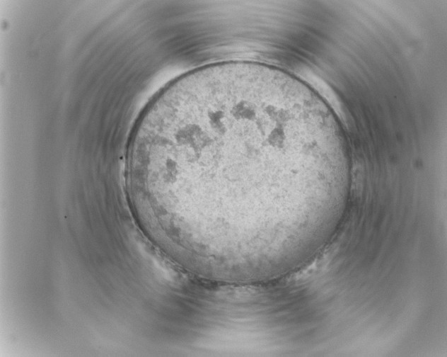 X0000088161051200706051046