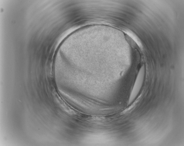 X0000088161052200706051046