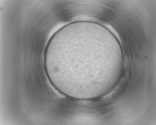 X0000088161053200706051046