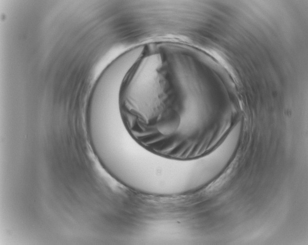 X0000088161054200706051046