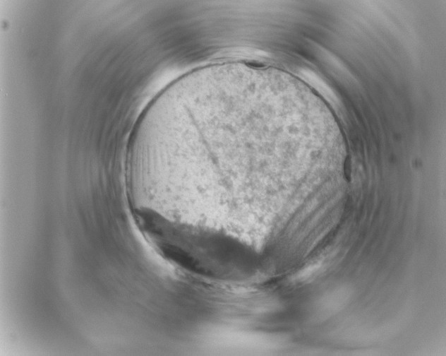 X0000088161055200706051046