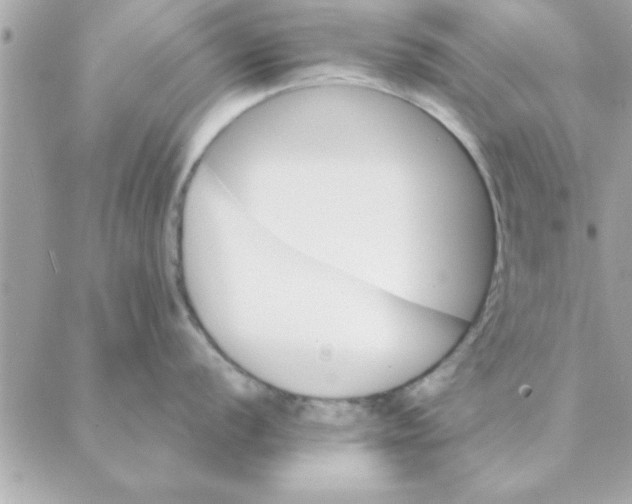 X0000088161056200706051046