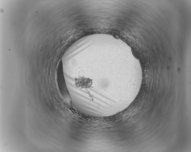 X0000088161057200706051046