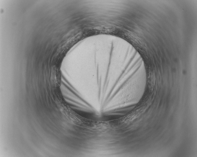 X0000088161058200706051046