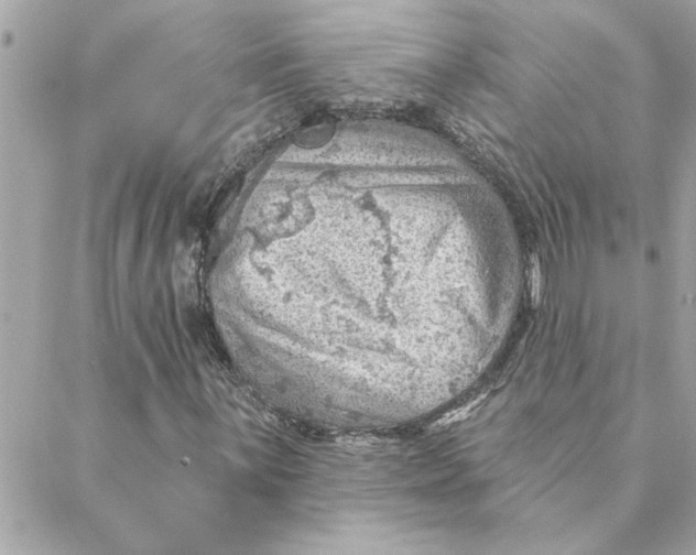 X0000088161059200706051046