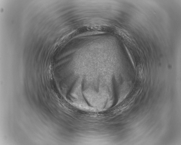 X0000088161060200706051046