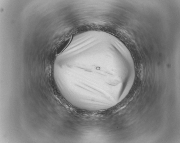 X0000088161061200706051046