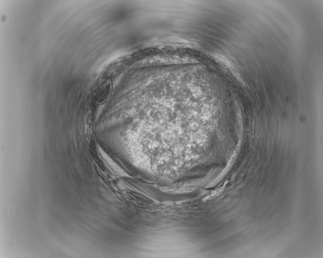 X0000088161063200706051046