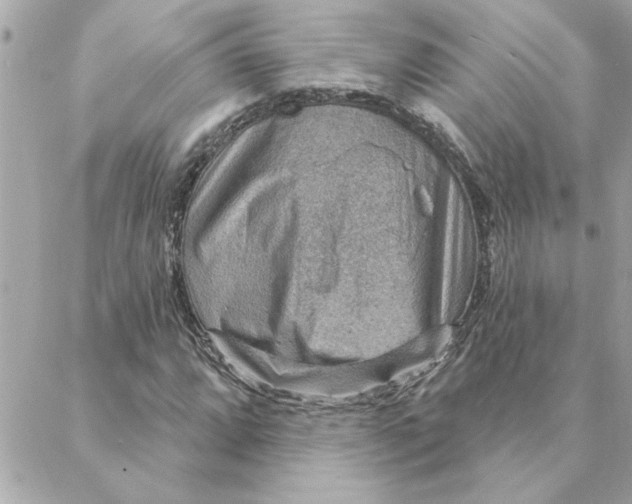 X0000088161064200706051046