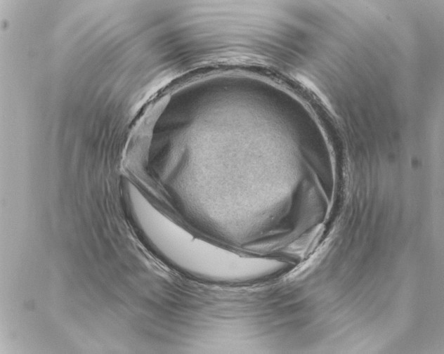 X0000088161065200706051046