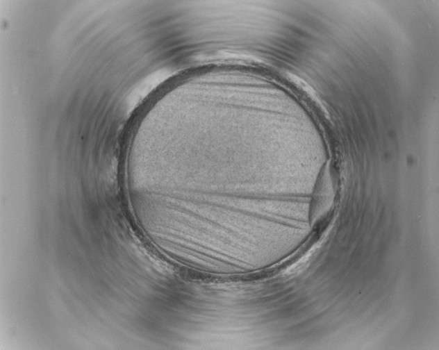 X0000088161066200706051045