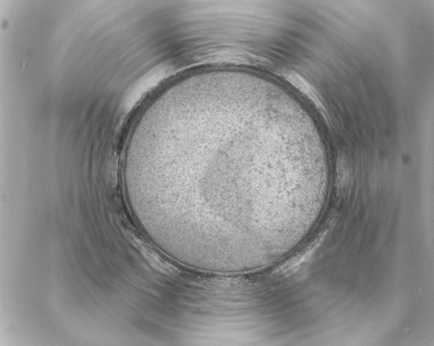 X0000088161067200706051045