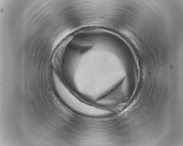 X0000088161069200706051045