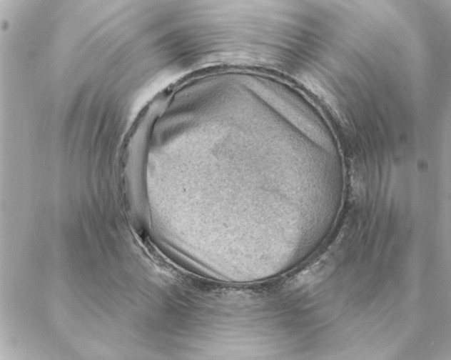 X0000088161070200706051045