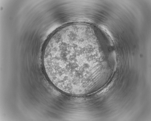 X0000088161071200706051045